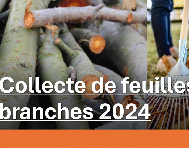 Collecte de feuilles et branches 2024