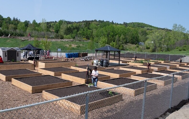 Jardin communautaire